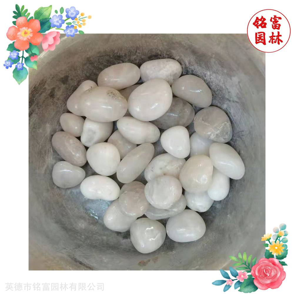 花园路径铺路石-白色鹅卵石-茂名鹅卵石厂家(图5)