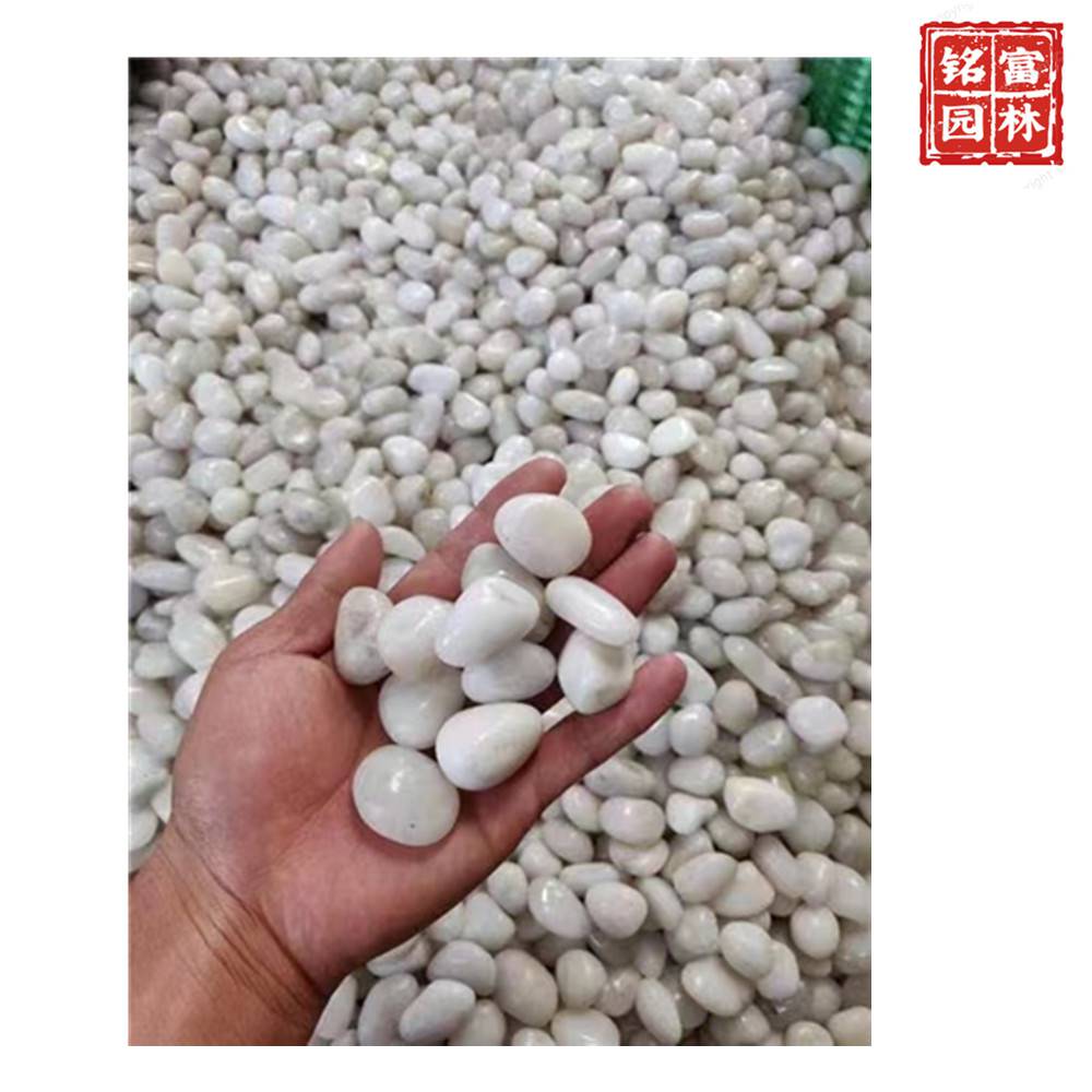 花园路径铺路石-白色鹅卵石-茂名鹅卵石厂家(图12)