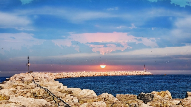 博鱼官方体育登录入口信丰哪里有乒乓球台