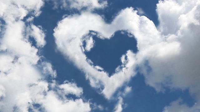 博鱼综合体育官方网站入口室内健身左右仆步